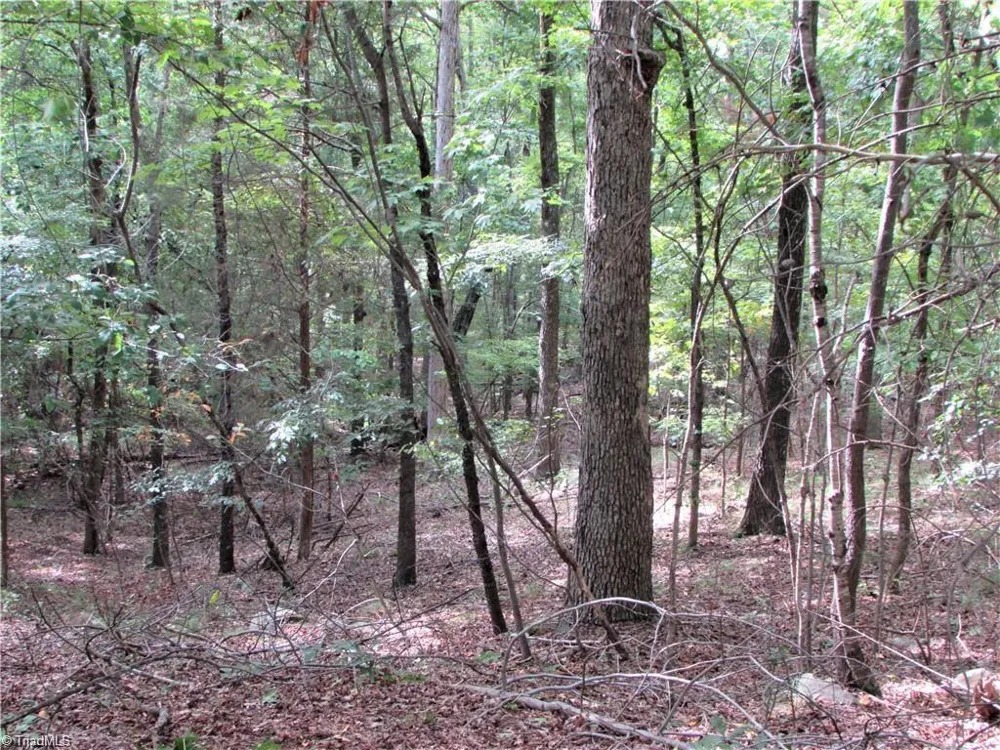 532 Rocky Cove Lane Denton, NC 27239
