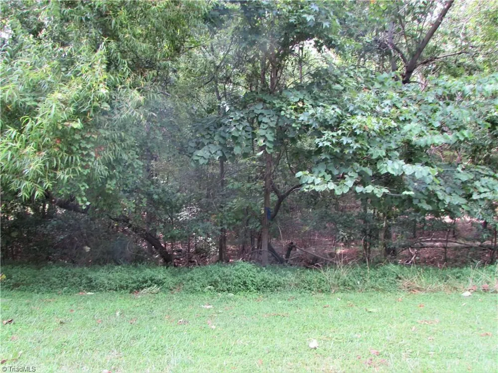 532 Rocky Cove Lane Denton, NC 27239