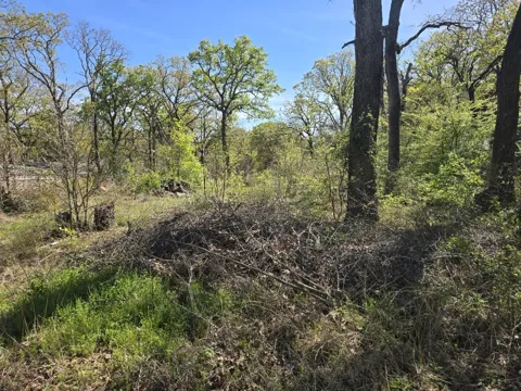 Oak Haven Drive