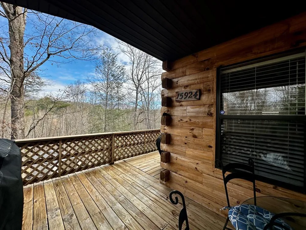 Blue Mist Mountain Rd Whittier, NC 28789