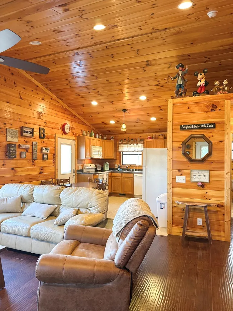 Blue Mist Mountain Rd Whittier, NC 28789