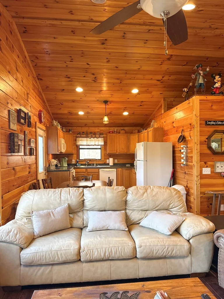 Blue Mist Mountain Rd Whittier, NC 28789