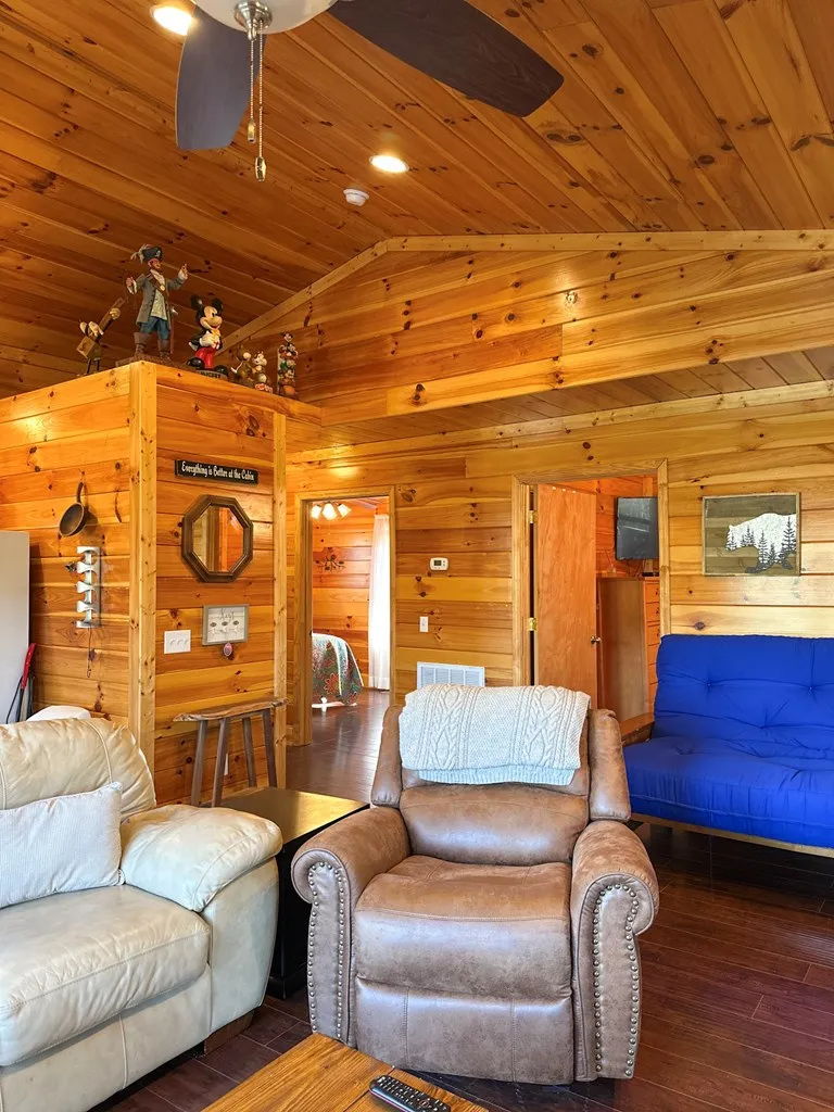 Blue Mist Mountain Rd Whittier, NC 28789