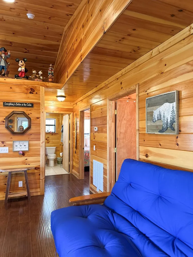 Blue Mist Mountain Rd Whittier, NC 28789