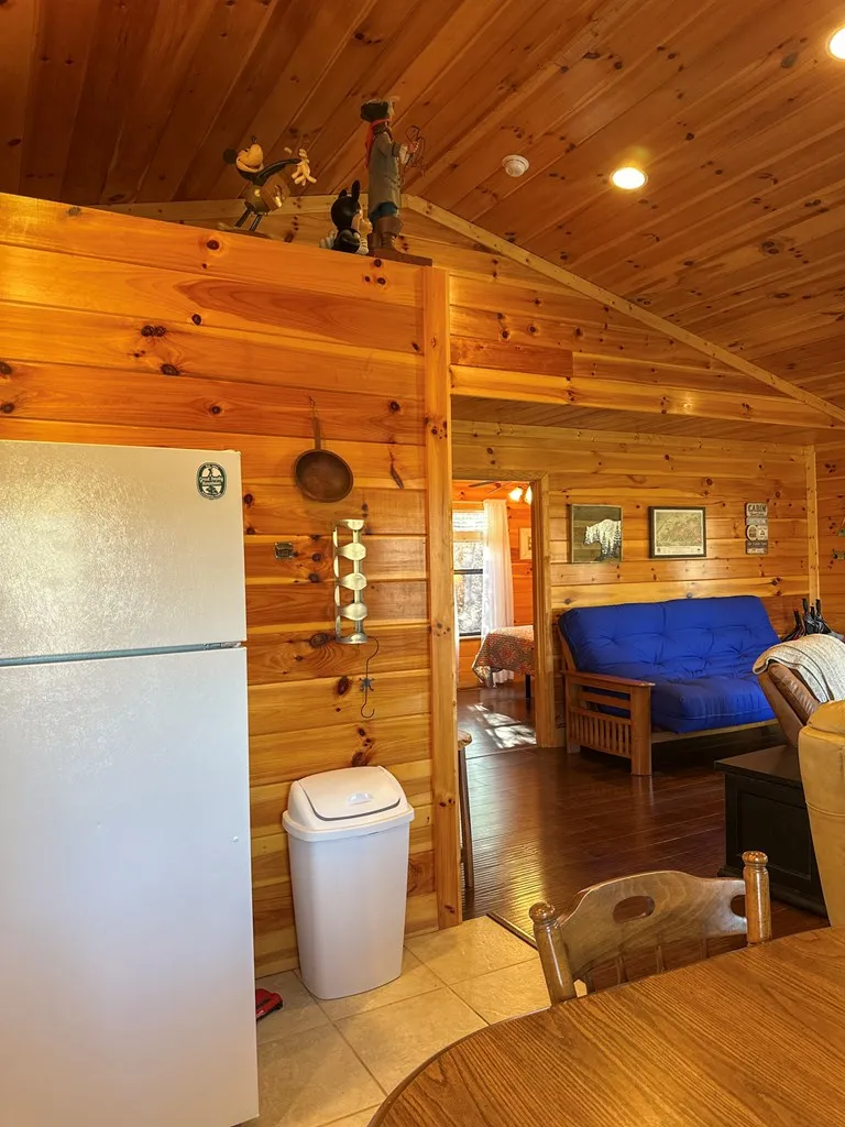 Blue Mist Mountain Rd Whittier, NC 28789