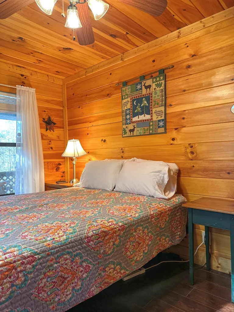Blue Mist Mountain Rd Whittier, NC 28789