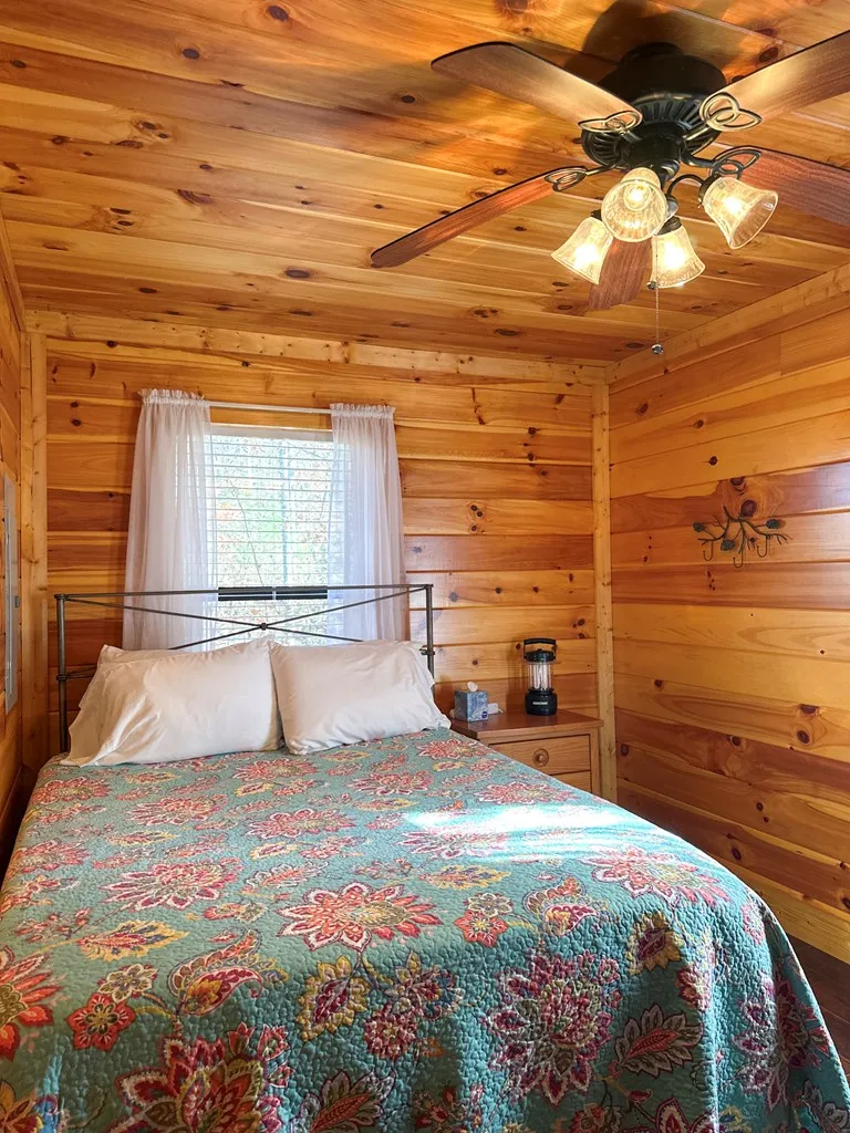 Blue Mist Mountain Rd Whittier, NC 28789