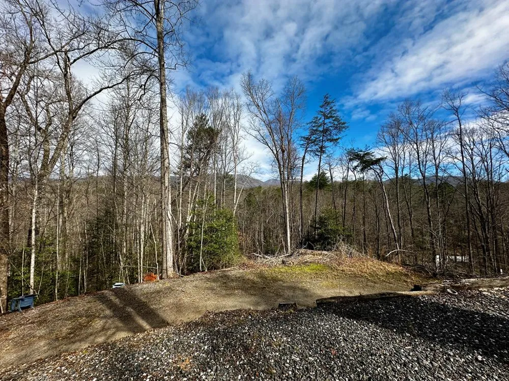Blue Mist Mountain Rd Whittier, NC 28789