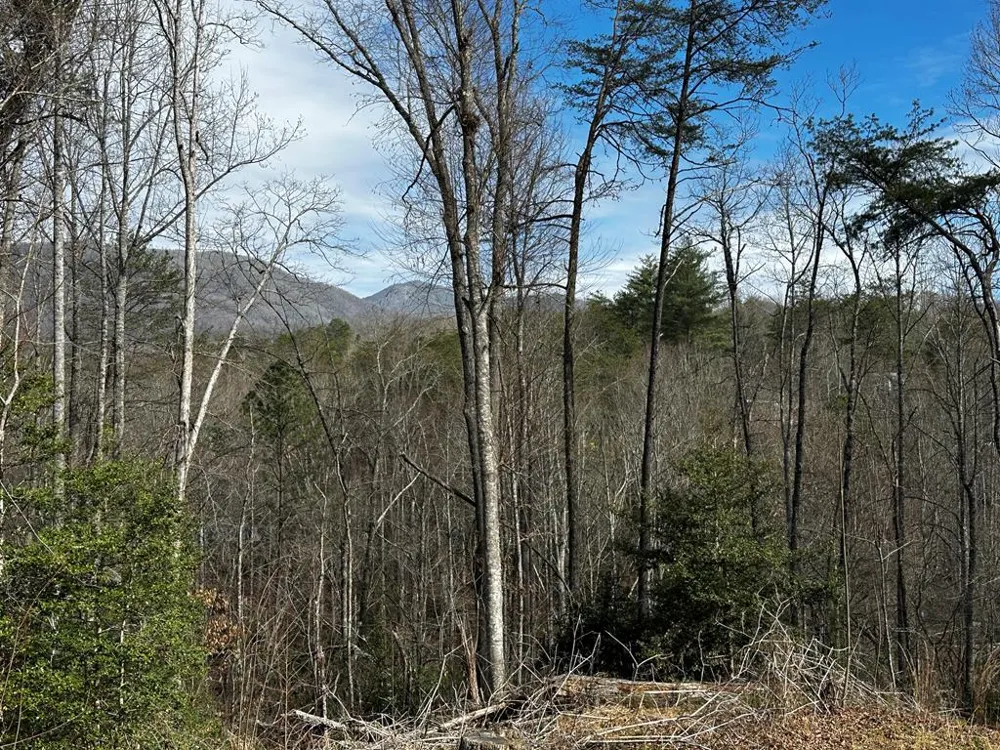 Blue Mist Mountain Rd Whittier, NC 28789