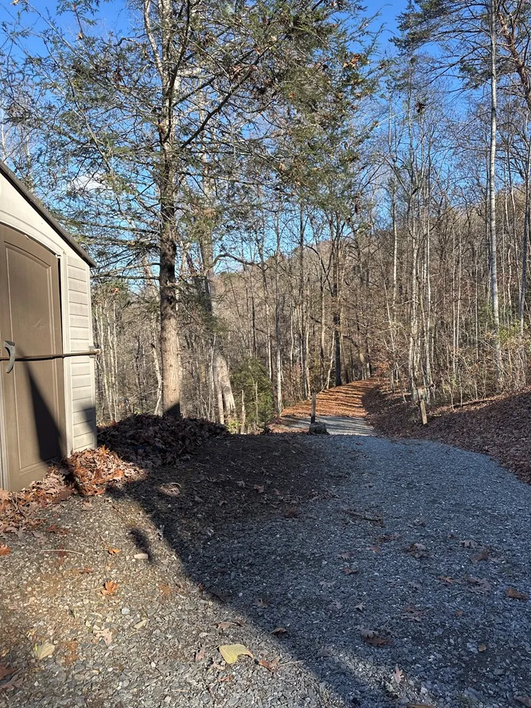 Blue Mist Mountain Rd Whittier, NC 28789