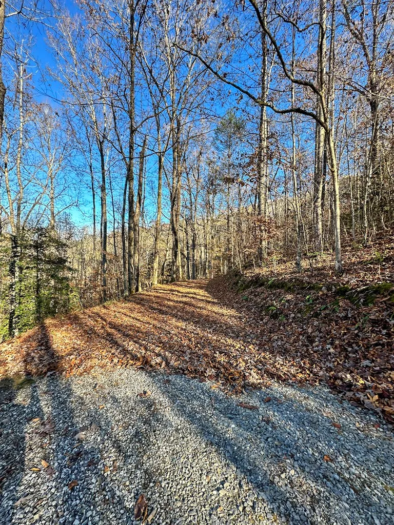 Blue Mist Mountain Rd Whittier, NC 28789