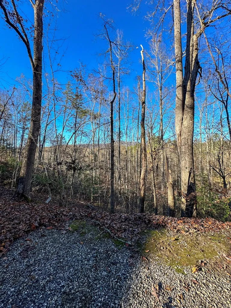 Blue Mist Mountain Rd Whittier, NC 28789