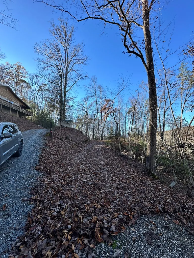 Blue Mist Mountain Rd Whittier, NC 28789