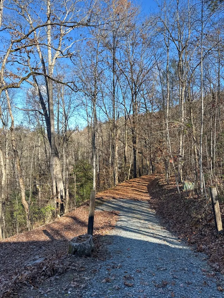 Blue Mist Mountain Rd Whittier, NC 28789