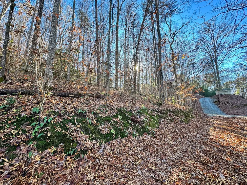 Blue Mist Mountain Rd Whittier, NC 28789