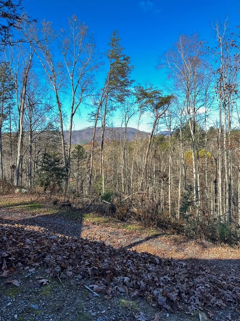 Blue Mist Mountain Rd Whittier, NC 28789