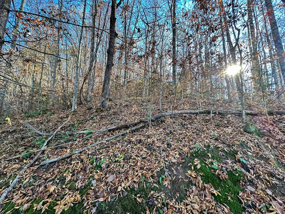 Blue Mist Mountain Rd Whittier, NC 28789
