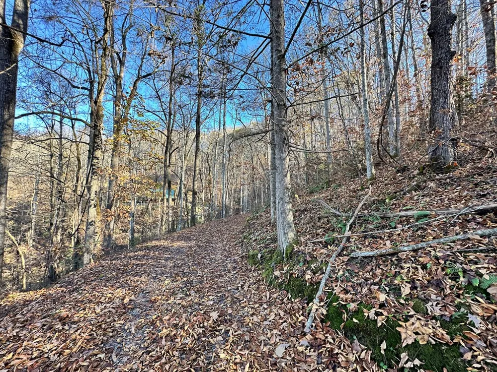 Blue Mist Mountain Rd Whittier, NC 28789