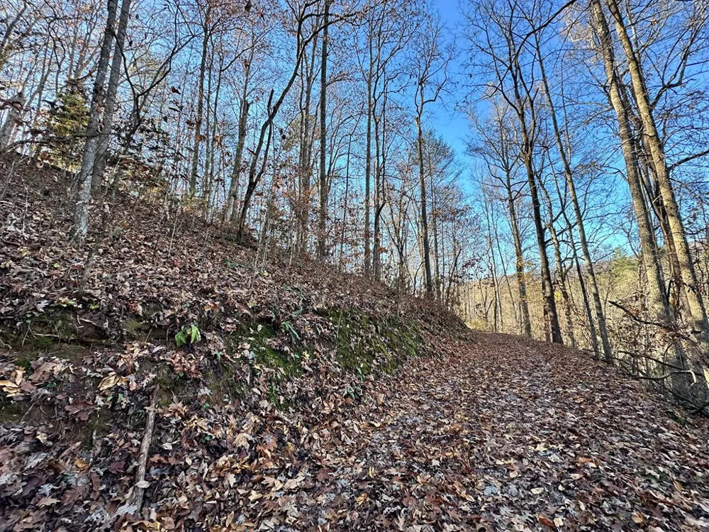 Blue Mist Mountain Rd Whittier, NC 28789
