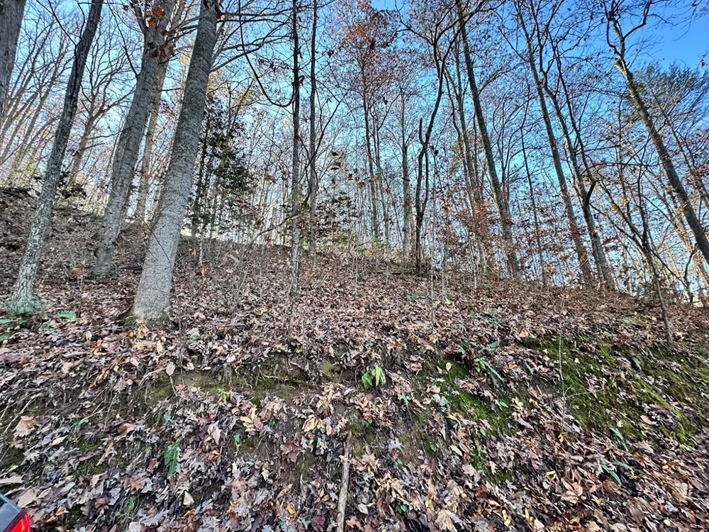 Blue Mist Mountain Rd Whittier, NC 28789