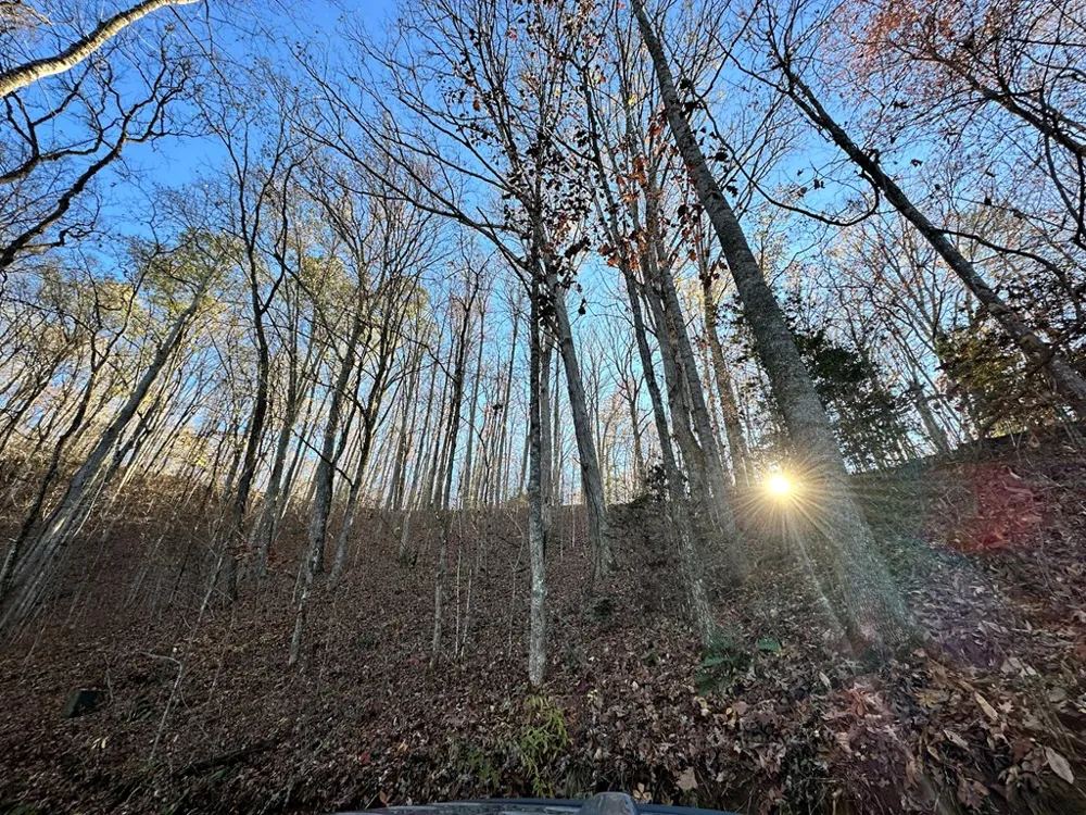 Blue Mist Mountain Rd Whittier, NC 28789