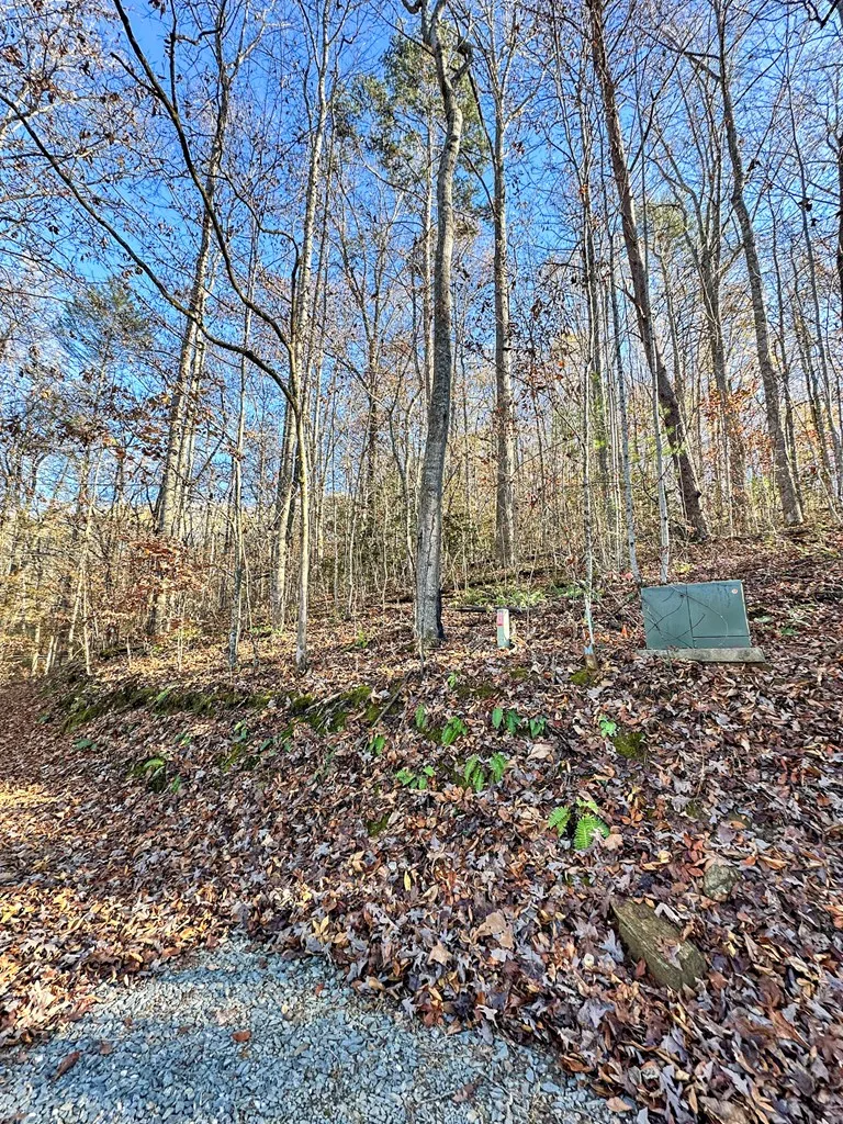 Blue Mist Mountain Rd Whittier, NC 28789