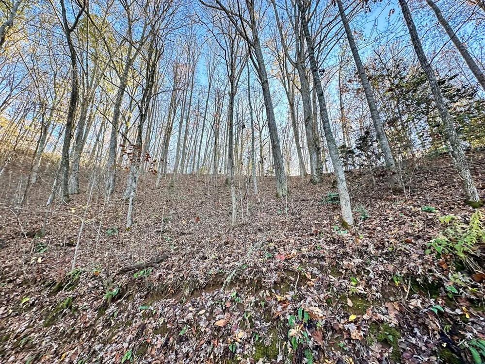 Blue Mist Mountain Rd Whittier, NC 28789