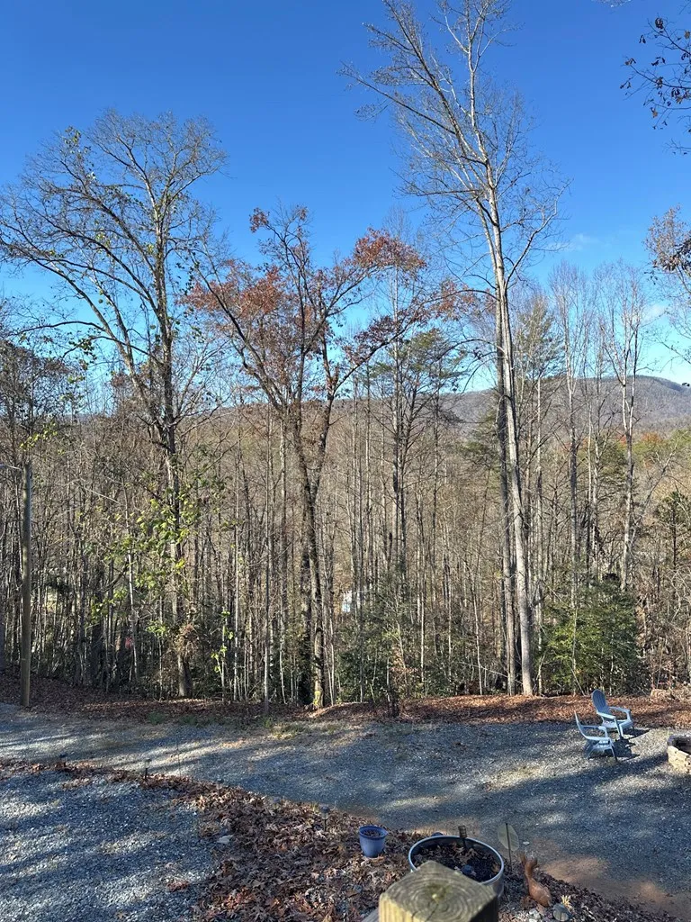 Blue Mist Mountain Rd Whittier, NC 28789