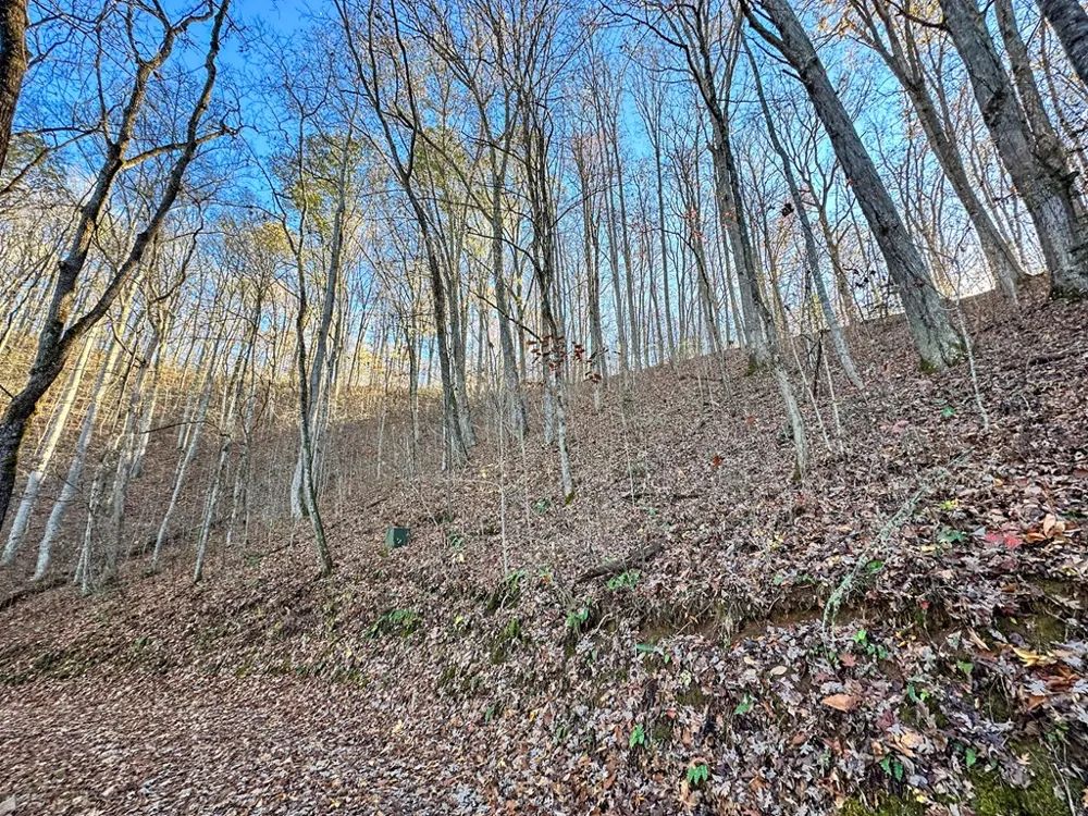 Blue Mist Mountain Rd Whittier, NC 28789