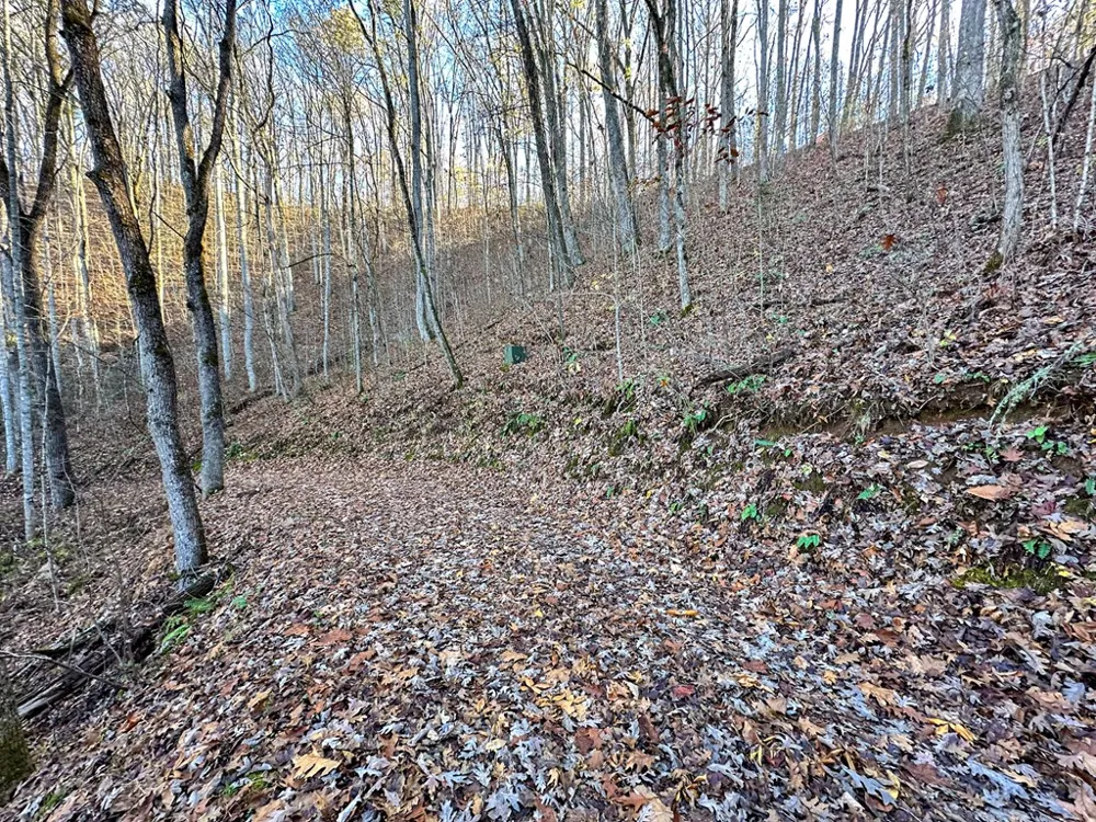 Blue Mist Mountain Rd Whittier, NC 28789