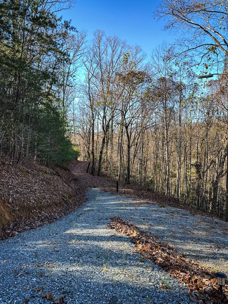 Blue Mist Mountain Rd Whittier, NC 28789