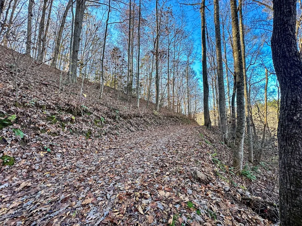 Blue Mist Mountain Rd Whittier, NC 28789