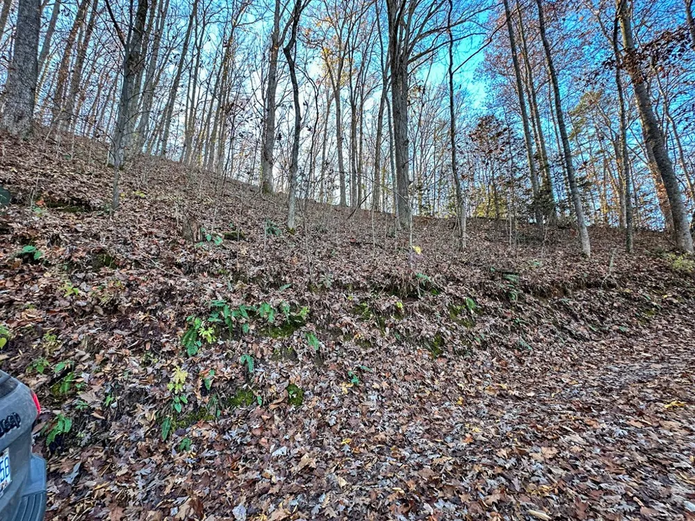 Blue Mist Mountain Rd Whittier, NC 28789