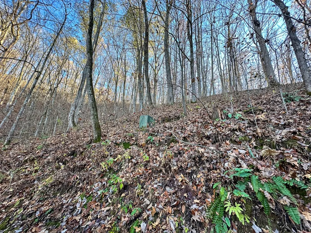 Blue Mist Mountain Rd Whittier, NC 28789