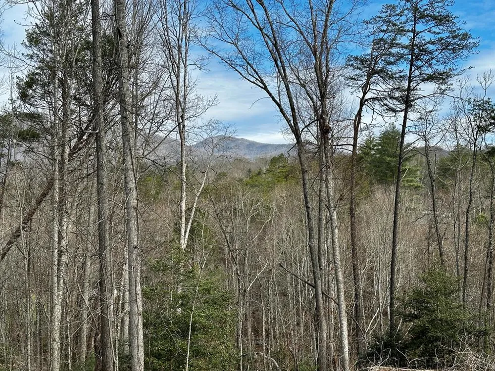 Blue Mist Mountain Rd Whittier, NC 28789