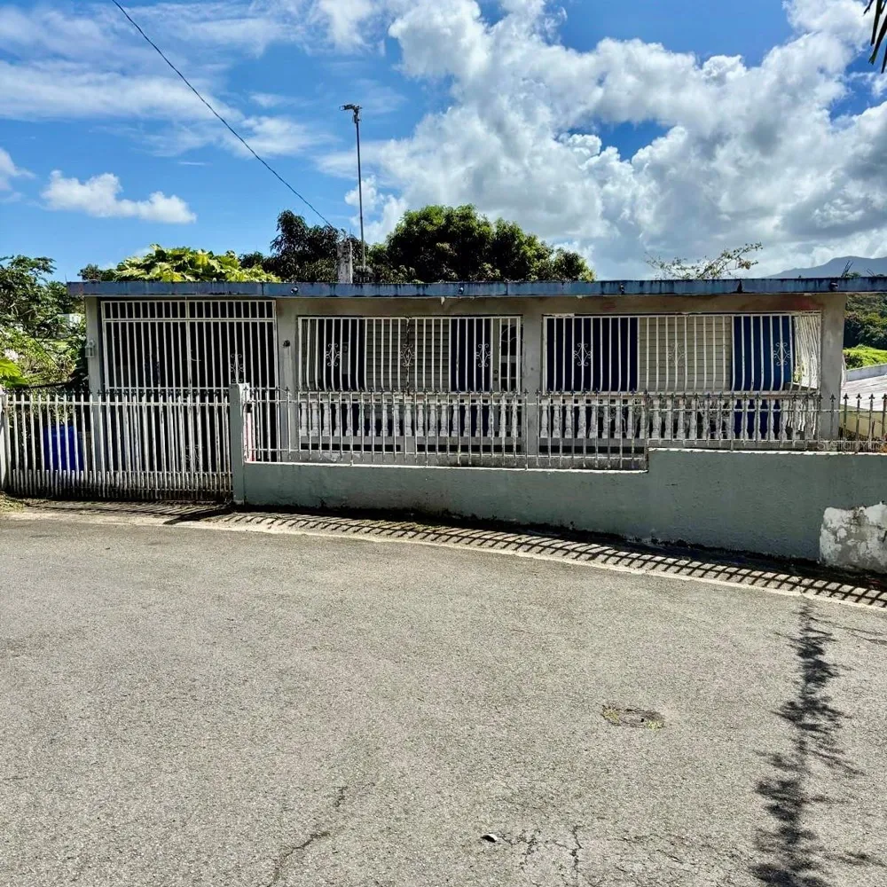 233 Bo Cienaga Alta MALPICA Rio Grande, PR 00745
