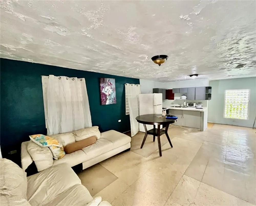 233 Bo Cienaga Alta MALPICA Rio Grande, PR 00745