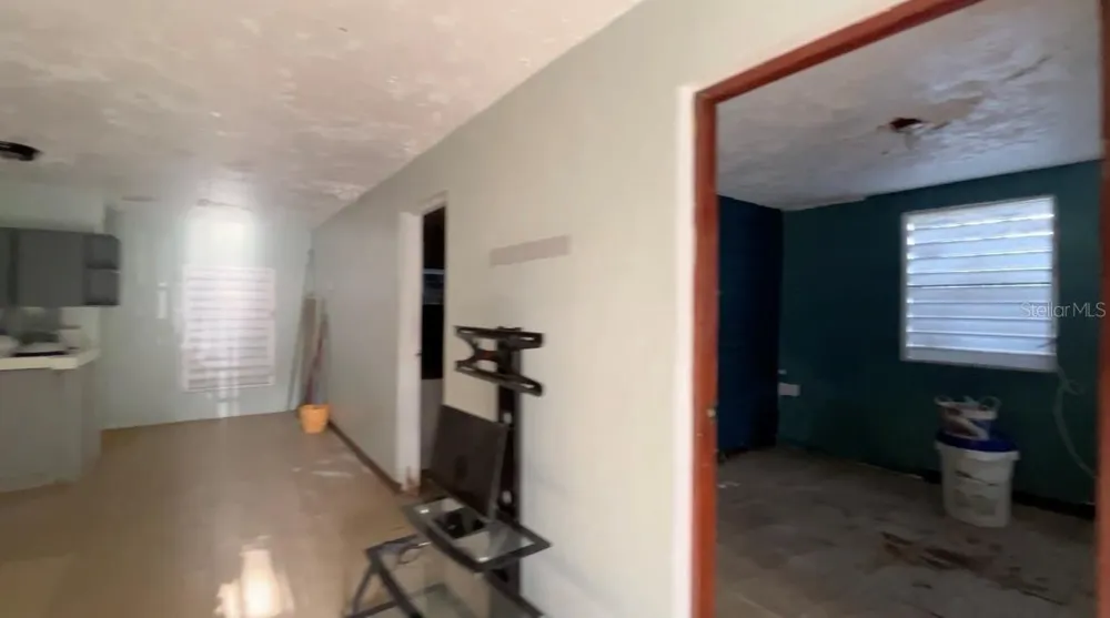 233 Bo Cienaga Alta MALPICA Rio Grande, PR 00745