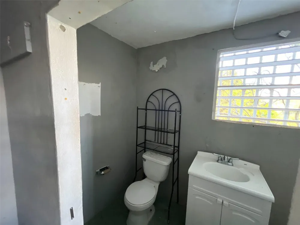 233 Bo Cienaga Alta MALPICA Rio Grande, PR 00745
