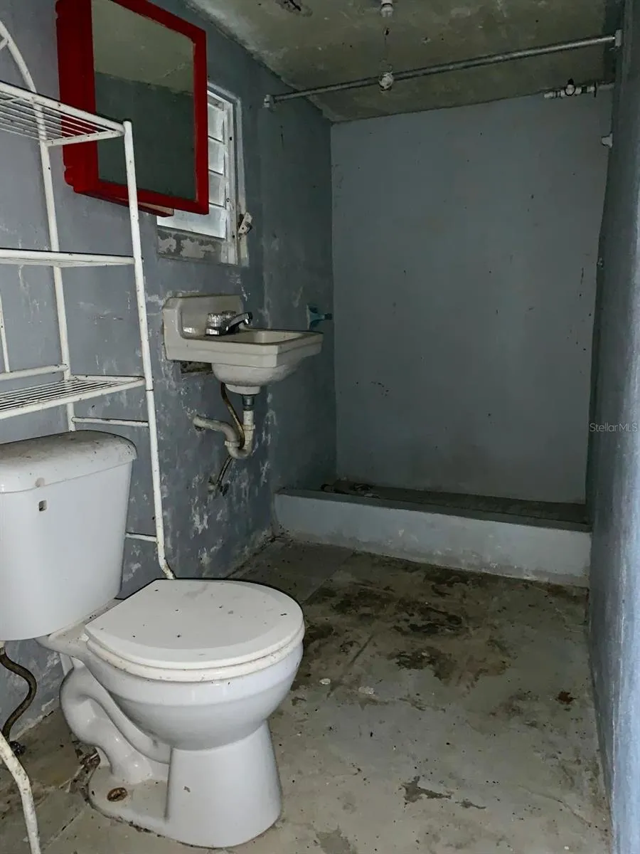 233 Bo Cienaga Alta MALPICA Rio Grande, PR 00745