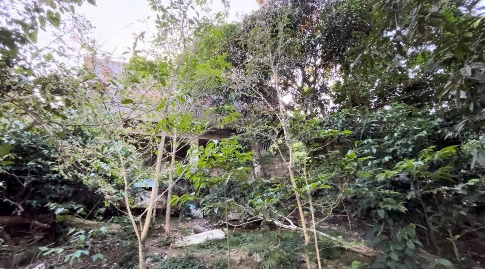 233 Bo Cienaga Alta MALPICA Rio Grande, PR 00745