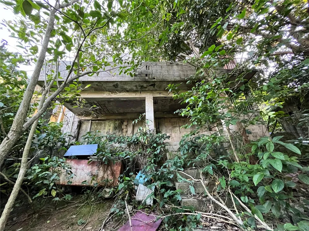 233 Bo Cienaga Alta MALPICA Rio Grande, PR 00745