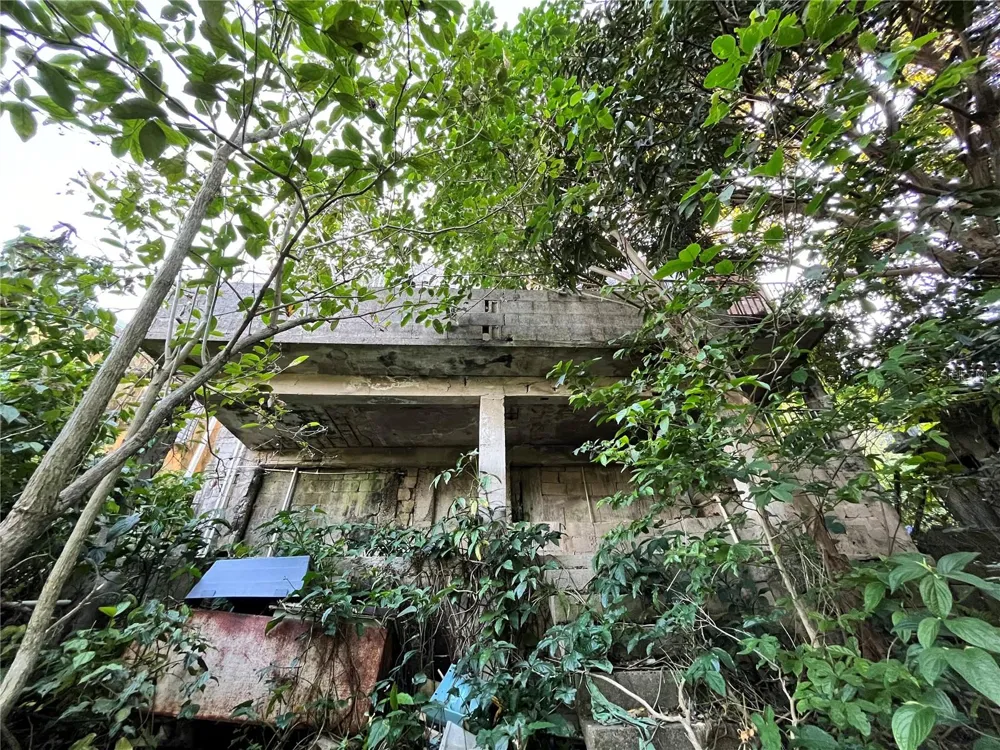 233 Bo Cienaga Alta MALPICA Rio Grande, PR 00745