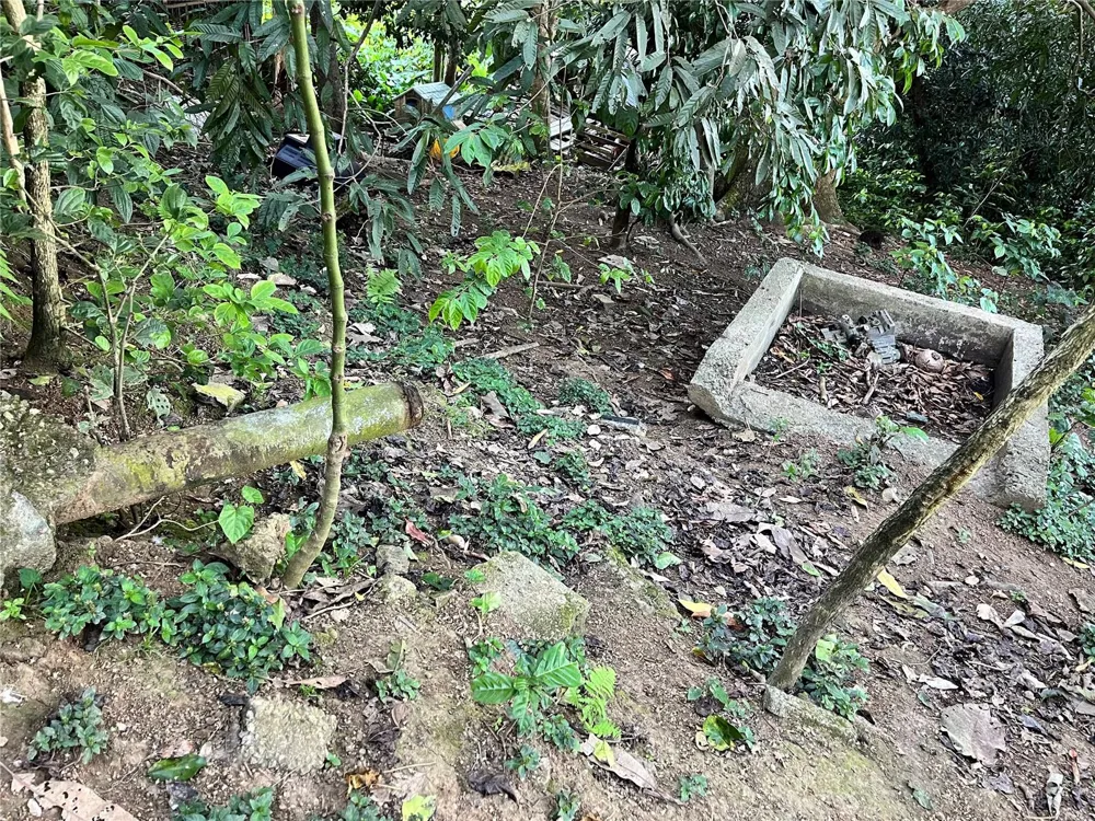 233 Bo Cienaga Alta MALPICA Rio Grande, PR 00745
