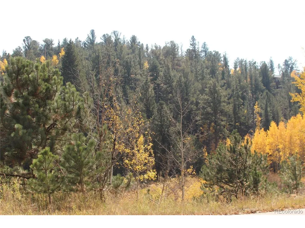 2012 Shelton Drive Bailey, CO 80421