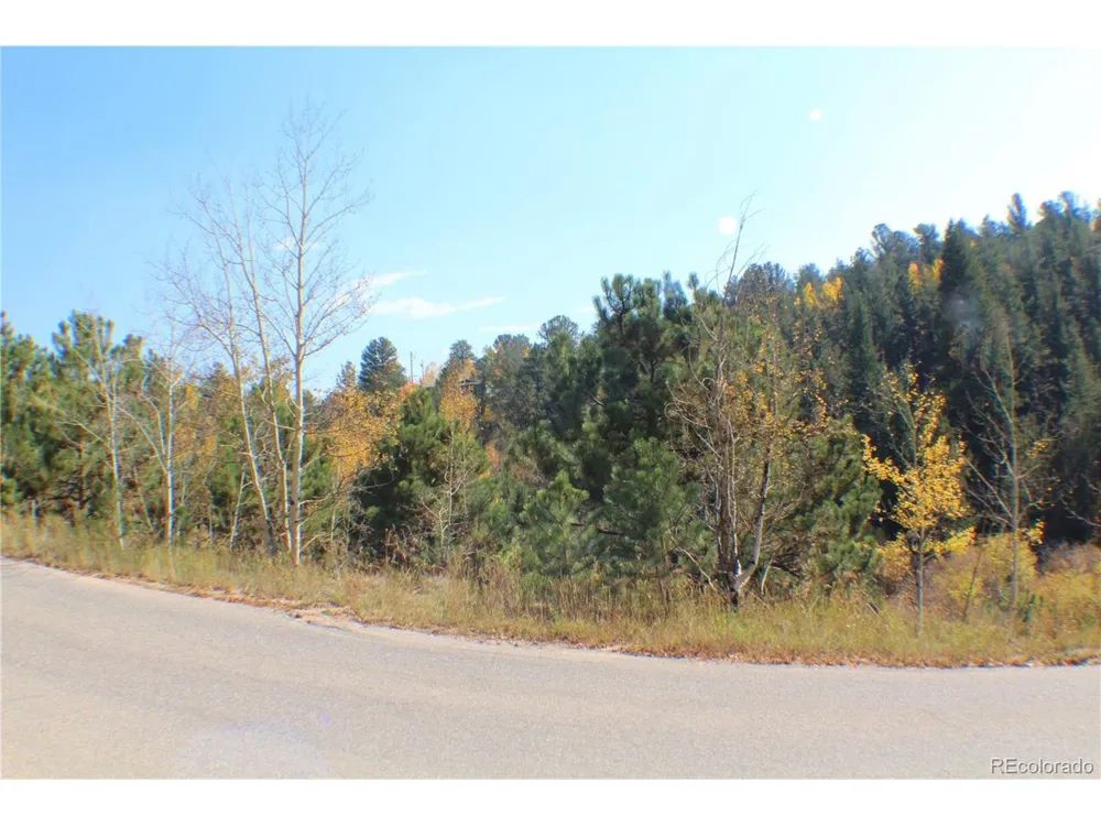 2012 Shelton Drive Bailey, CO 80421