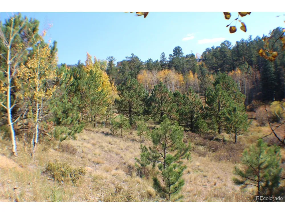 2012 Shelton Drive Bailey, CO 80421