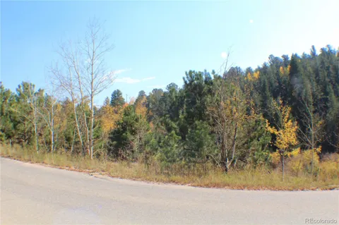2012 Shelton Drive