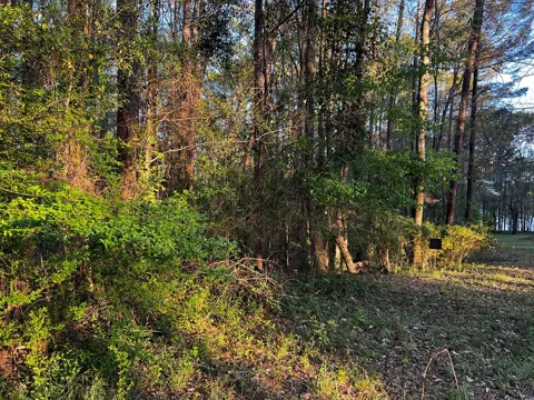 203 View Pointe