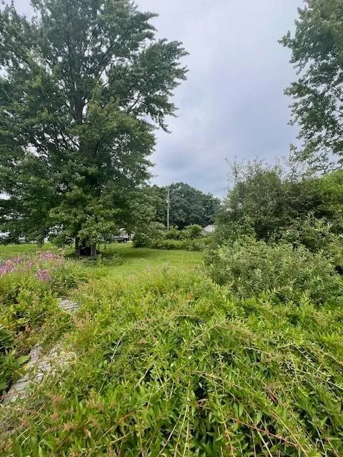 E Lake E Hesperia, MI 49421